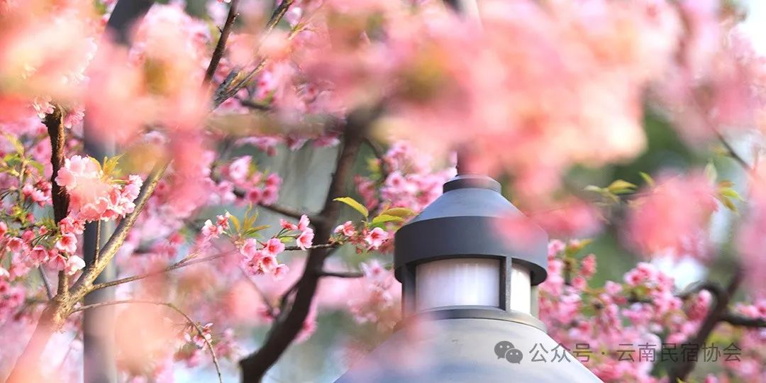 640 (48).jpg 640 (48).jpg