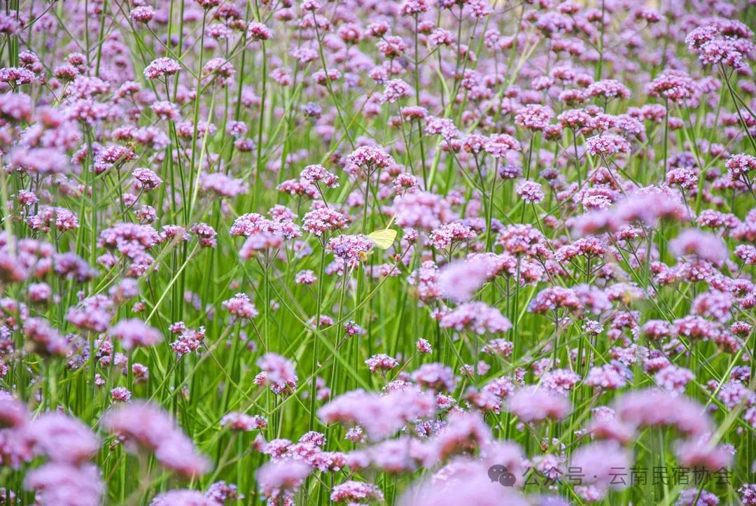 640 (59).jpg 640 (59).jpg