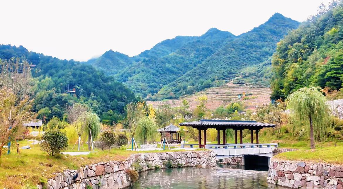 6a8071b54e62e59b14e119562db8d8a9.jpg 6a8071b54e62e59b14e119562db8d8a9.jpg